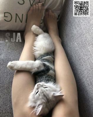 奇怪的夜晚在线观看_720在线观看高清