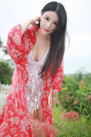 魔鬼司令_DVD电影完整版在线观看