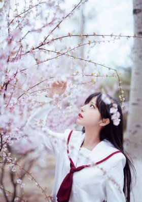 老影院在线观看_高清视频大全